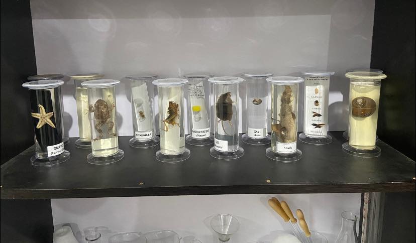 Well Stocked Library for Comprehensive Learning | Cognition Hub